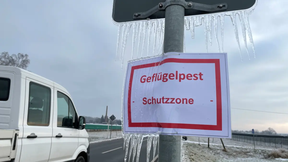 Geflügelpest in Gorgast: Am 21. Januar war die hochpathogenen Geflügelpest in Gorgast amtlich festgestellt worden. Um den Seuchenbestand wurde eine Schutzzone mit einem Radius von drei Kilometern festgelegt. Außerdem wurde um den Seuchenbestand eine Überwachungszone mit einem Radius von zehn Kilometern festgelegt.