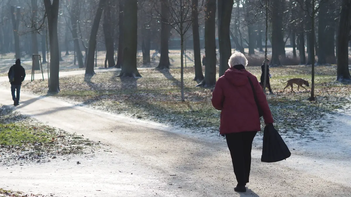 In einem Park in Frankfurt (Oder) wurde jemand geschlagen, getreten, beraubt und musste vom Notarzt behandelt werden. Für diesen und andere Fälle zeichnet sich jetzt eine Strafe ab.
