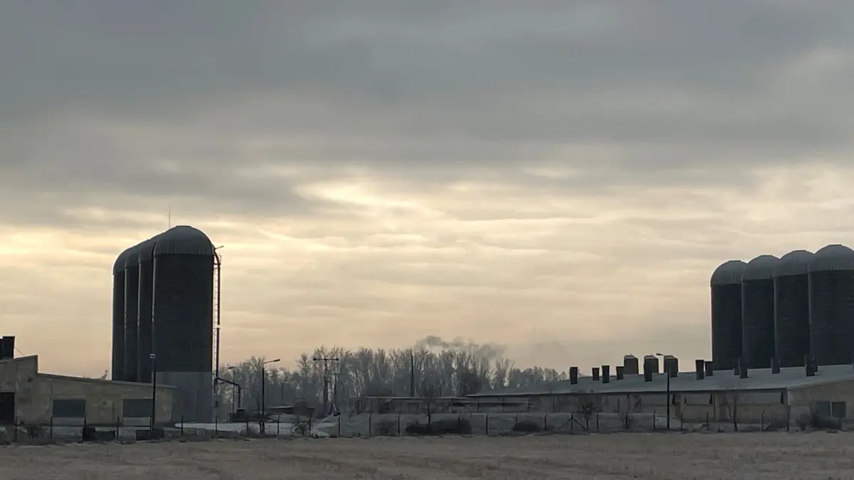 Putenmastanlage in Gprgasdt. Dort hatte es vor einigen Jahren bereits einen Vogelgrippefall gegeben.