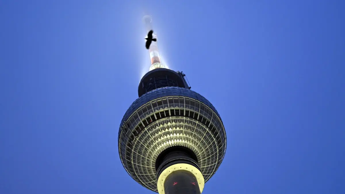 Wetter in Berlin: 29.01.2026, Berlin: Eine Krähe fliegt vor dem Berliner Fernsehturm, dessen Spitze angeleuchtet ist und teils im Nebel versinkt. Foto: Lilli Förter/dpa +++ dpa-Bildfunk +++