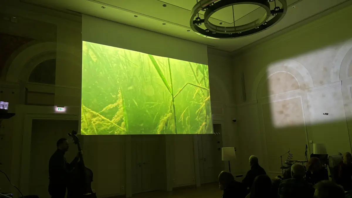 Beim "OderHive" tauchen die Teilnehmenden immer wieder in die sehr fremde audiovisuelle Unterwasser-Welt der Oder ein.