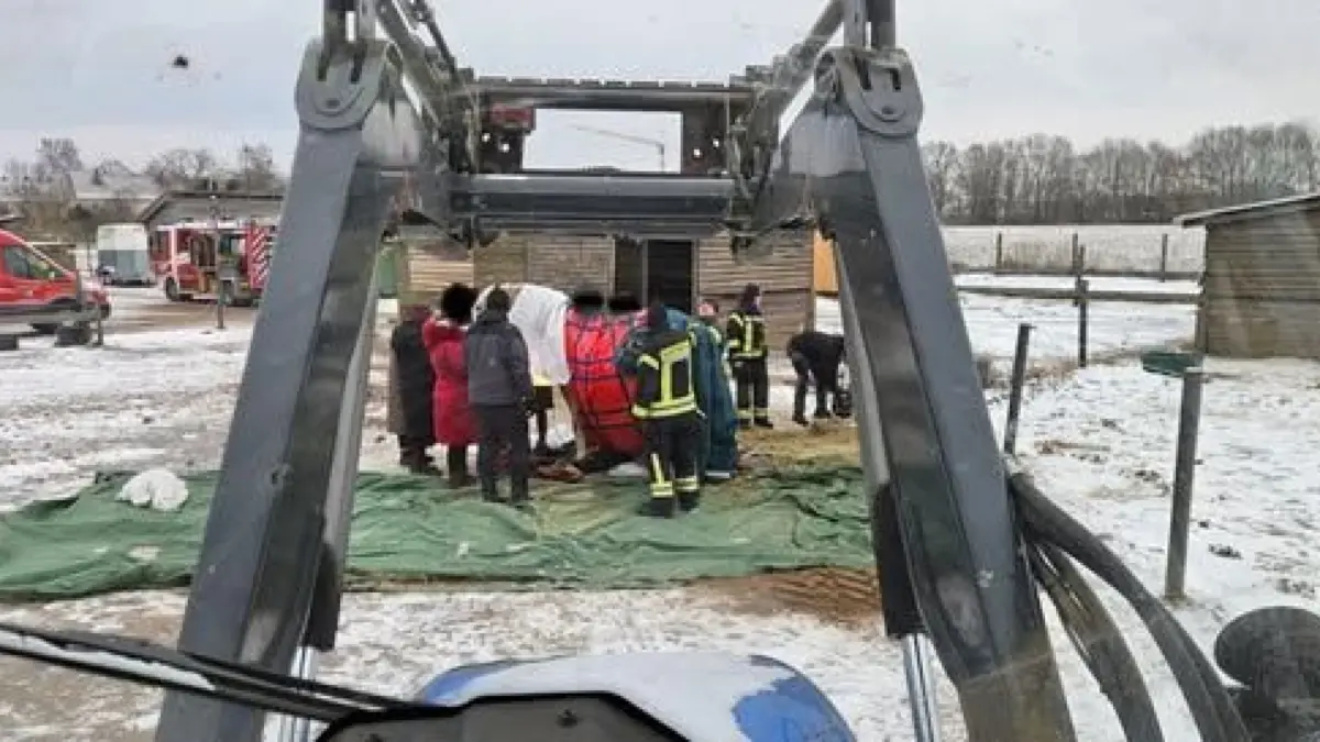 Hilfe geglückt. Mit Hilfe eines Traktors und eines Schwerlasttragetuches konnte Wallach Zafiro endlich wieder auf seine Füße gestellt werden, nachdem er sich stundenlang selbst nicht aufrichten konnte.