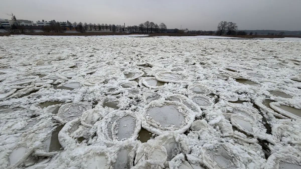 Eisstand in Frankfurt (Oder)