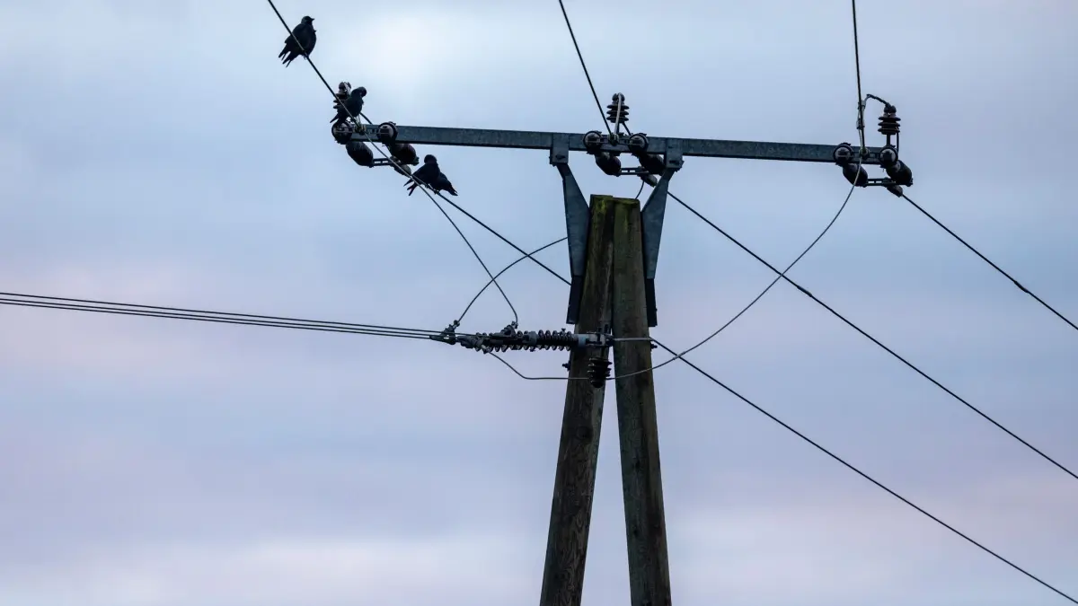 Stromausfall in Stuttgart: So ist das Stromnetz aufgebaut