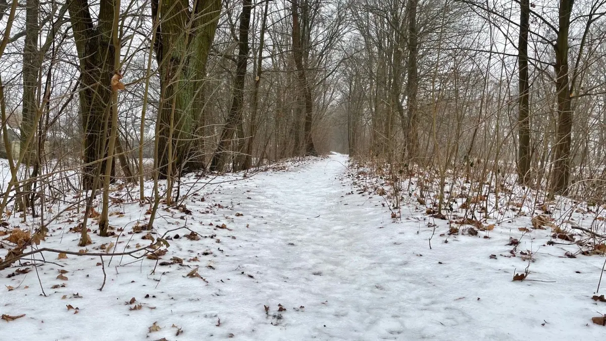 Oranienburg, Winter, Straße Am Kanal, an der Oranienburger Havel, Schnee, Ufer Uferweg soll umgebaut werden, doch WSA und einige Anwohner lehnen das ab