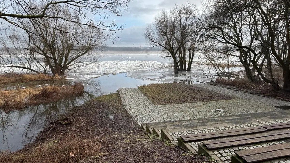 Hochwassergefahr in Frankfurt (Oder): Weiter nördlich kam es offenbar zu einer Eisversetzung, die das Wasser gestaut hat. Am Ziegenwerder kann man den Pegelanstieg deutlich erkennen.