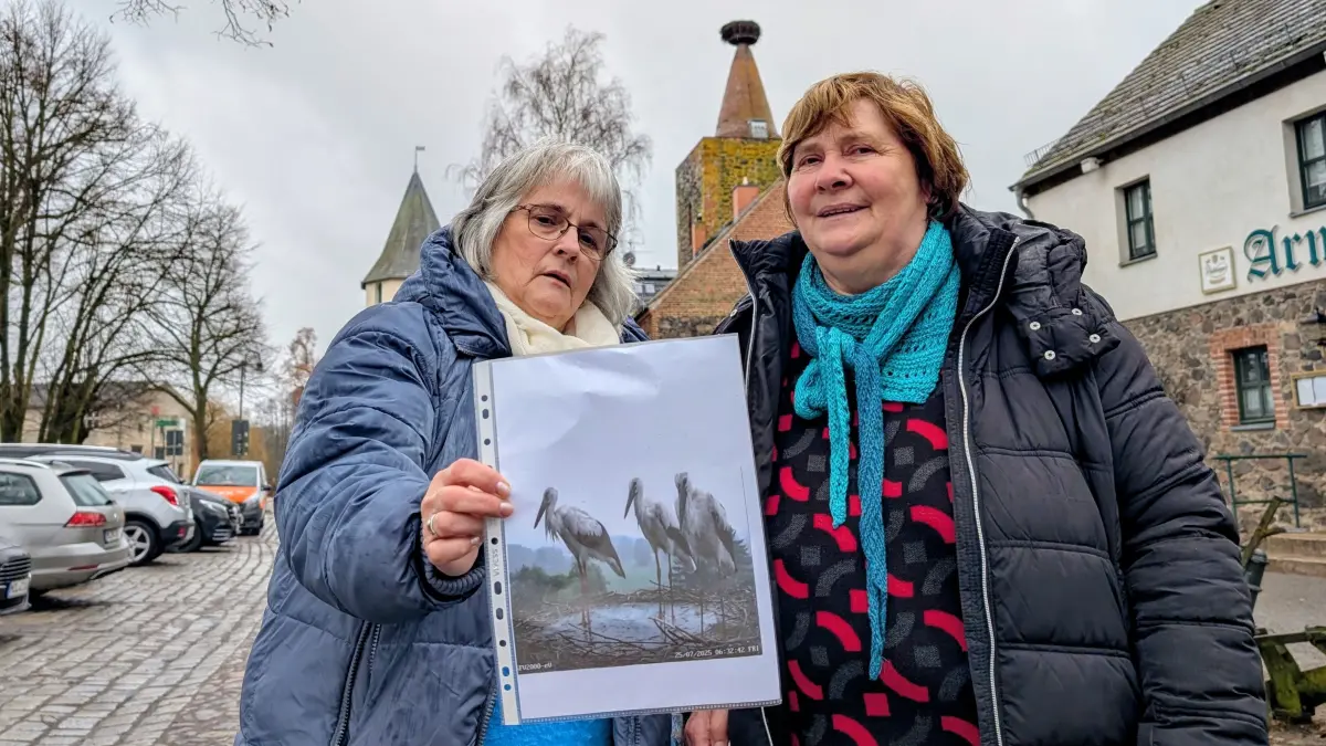 Simone Taubert und Marion Paul sind begeisterte Storchengucker und in Sorge. Das Nest auf dem Storchenturm in Altlandsberg droht abzusaufen. Doch schon bald wird das Storchenpaar Elsa und Horst erwartet.