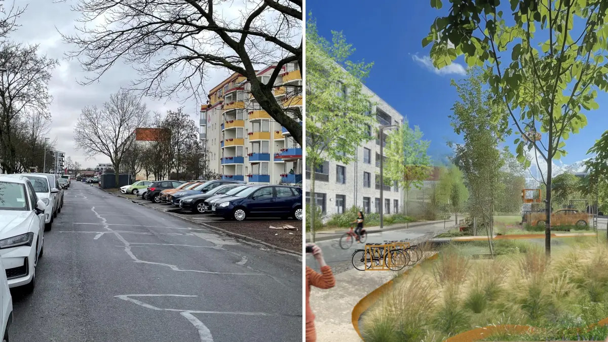 Wohnen und leben in Oranienburg, die Walther-Bothe-Straße soll klimareslient ausgebaut werden, dafür würden Parkplätze verschwinden, CDU sieht das kritisch - Projekt Copa Orania wird auf Eis gelegt / Visualisierungen zum Projekt "Copa Orania" / Collage