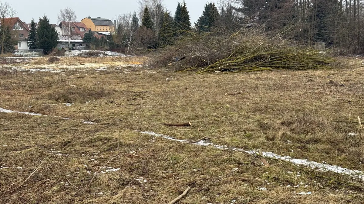 Kampwiesen Zehdenick, geplantes Wohngebiet an der Castrop-Rauxel-Allee