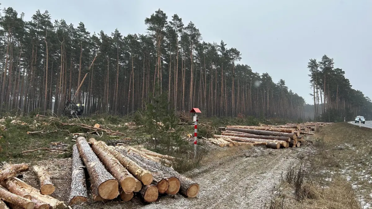 Harvester im Wald neben Tesla an der L38: An der Gigafactory Berlin und Brandenburg in Grünheide werden derzeit mehrere Hektar Bäume abgeholzt, auch die Polizei ist vor Ort.