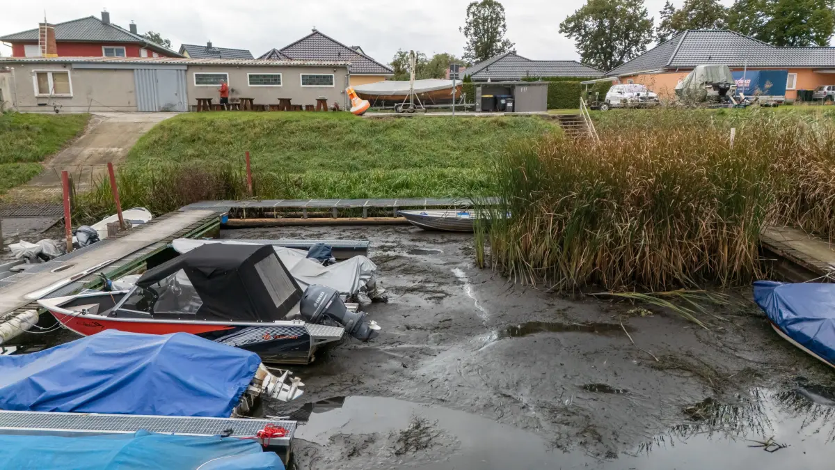 Holzhafen: Schwedt, 05.10.2022: Schlamm bestimmt des Bild im Schwedter Holzhafen, der Seesportverein sieht sich existenziell gefährdert.
