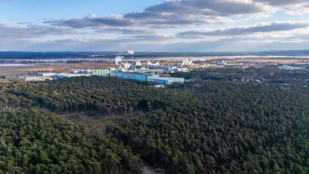 Wald Leipa: Schwedt, 18.02.2026: Leipa verfügt über ausgedehnte Waldflächen.