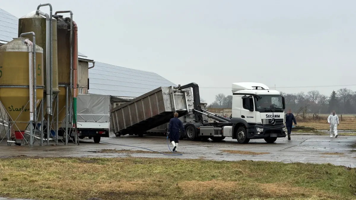 Vogelgrippe bei Seelow: Am Sonntagmorgen (22.02.) rollten Lkw an, die die getöteten Enten abtransportieren sollen.