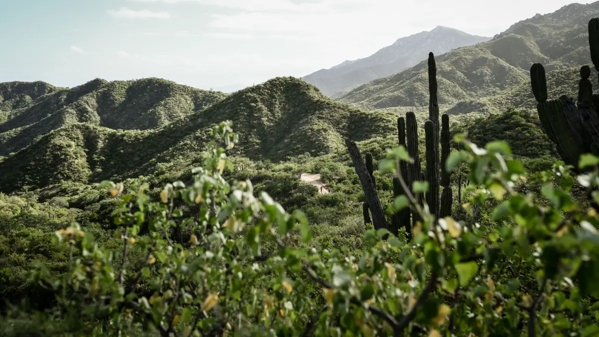 Rancho Cacachilas