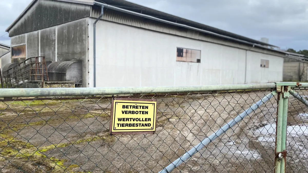 Das Gelände erscheint verwaist: Hier ist die Landwirtschaftliche Putenmast GmbH & Co. KG Coschen in Neißemünde an der Hauptstraße 19 direkt an der polnischen Grenze ansässig. Ein Schild am Eingang weist zwar auf einen Tierbestand hin, doch die von der Newcastle-Krankheit betroffenen 23.000 Puten sind entweder gestorben beziehungsweise wurden gekeult.