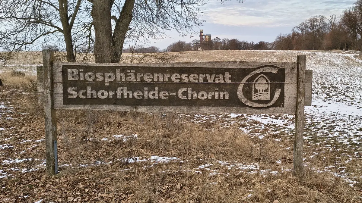 Hinweisschild des Biosphärenreservats Schorfheide-Chorin am Ortseingang von Joachimsthal. In der Schorfheidestadt hat sich eine Bürgerinitiative gegründet, die eine mögliche Novellierung der Biosphärenreservatsverordnung wendet.