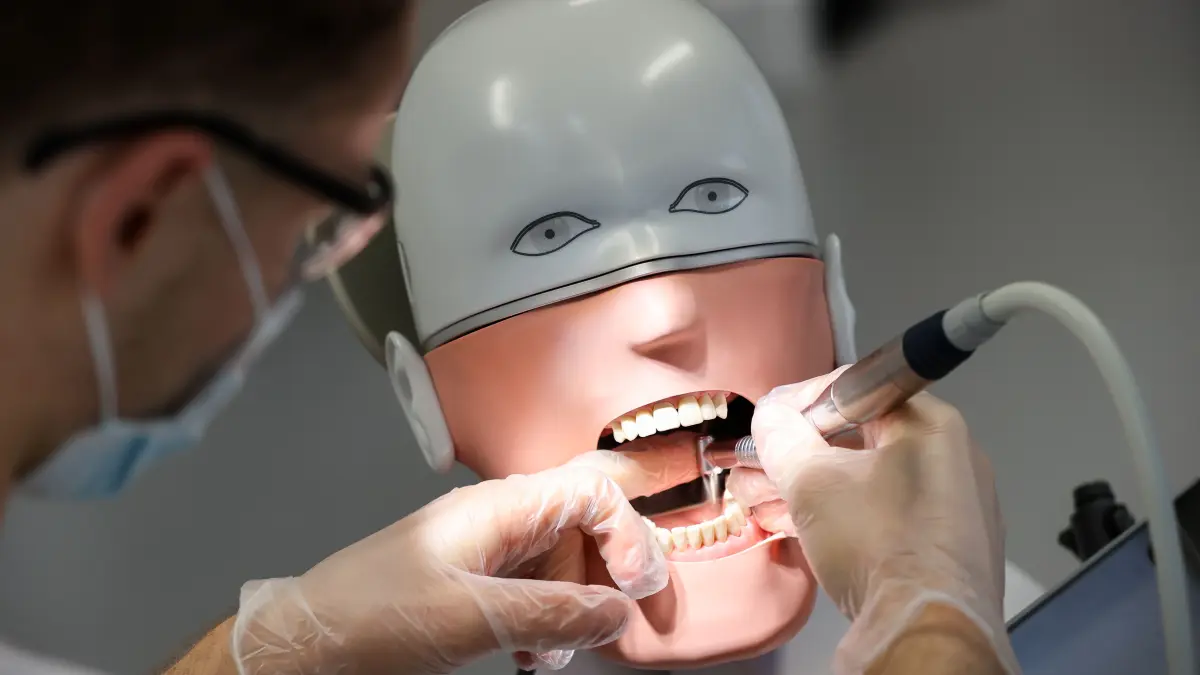 Ein Student der Zahnmedizin übt an einem "Phantompatienten". dpa-Bildfunk +++