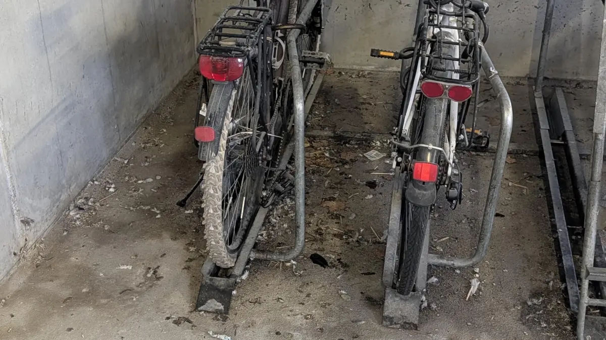Kotspuren, Federn und Schmutz auf dem Boden zwischen den Fahrradständern im Parkhaus am Bahnhof Bernau.