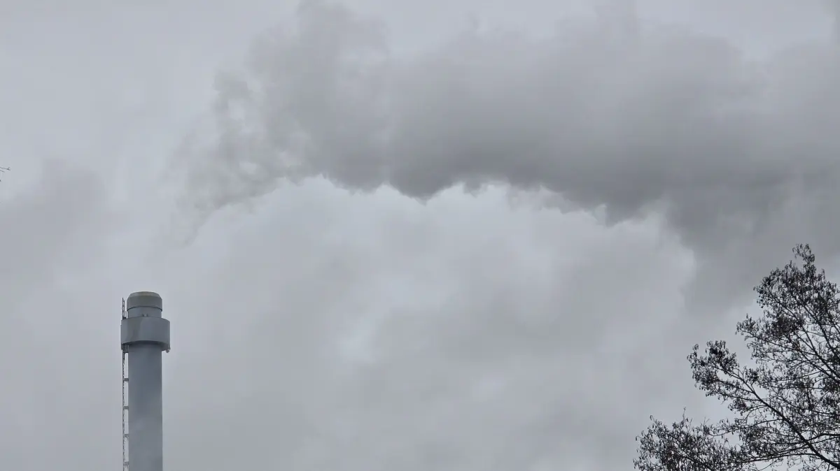 Das Biomassekraftwerk Königs Wusterhausen produziert alleine bereits in etwa so viel Strom wie die Stadt braucht.