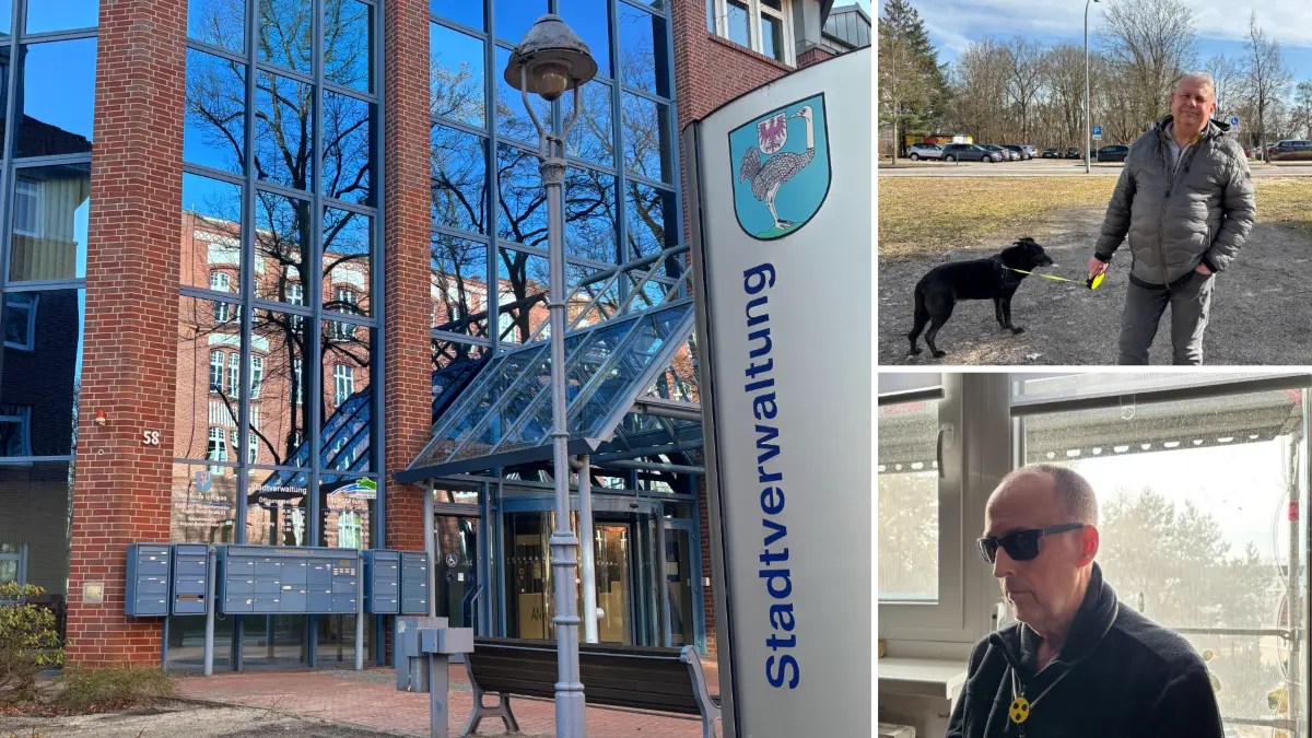 Stadtverwaltung mit Briefkästen, Strausberger Bürger, Collage