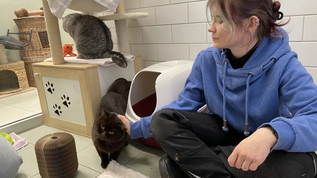 Nachdem Kater Kovu beobachtet hat, dass Simba nichts passiert, verlässt auch er sein Versteck und holt sich ein paar Streicheleinheiten bei der angehenden Tierpflegerin Celina Kirchner.