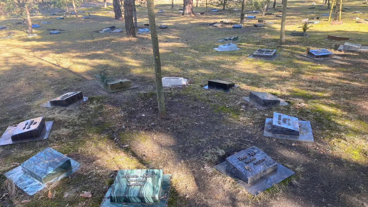 Sollen ihr naturnahes und würdevolles Umfeld behalten: die Baumgrabfelder auf dem Inselfriedhof
