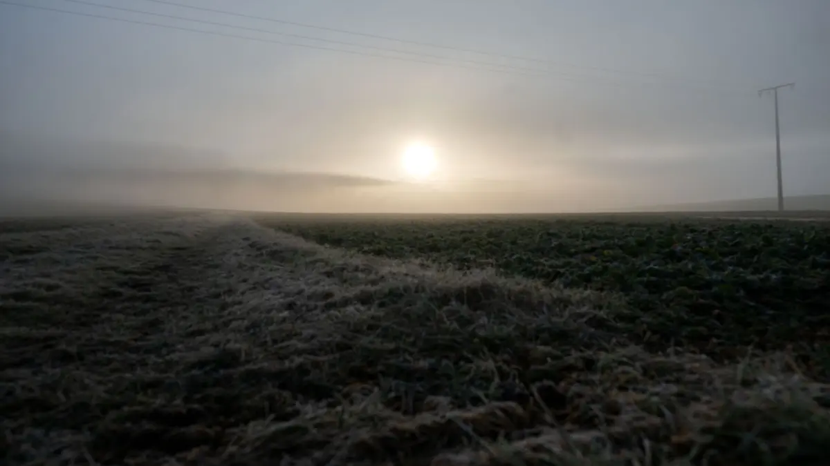 Wetter in Bayern: 05.03.2026, Bayern, Lahm: Frost überzieht die Pflanzen auf Äckern und Wiesen bei Lahm im Itzgrund, während die Sonne hinter dichtem Nebel aufgeht. Ein kräftiges Hoch sorgt laut Deutschem Wetterdienst auch in den kommenden Tagen deutschlandweit für viel Sonnenschein und frühlingshafte Temperaturen. In Bayern starten die Tage allerdings gebietsweise länger trüb durch Nebel und Hochnebel. Foto: Pia Bayer/dpa +++ dpa-Bildfunk +++