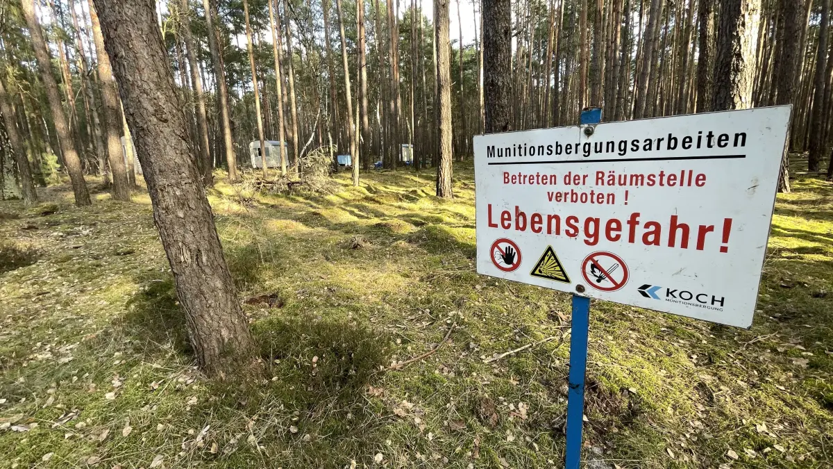 Lebensgefahr im Wald: Mitarbeiter einer Spezialfirma suchen systematisch den Wald in Borgsdorf nach Kriegsmunition ab. Jetzt wurden sie schon wieder fündig. Die nächste Sprengung steht bevor.