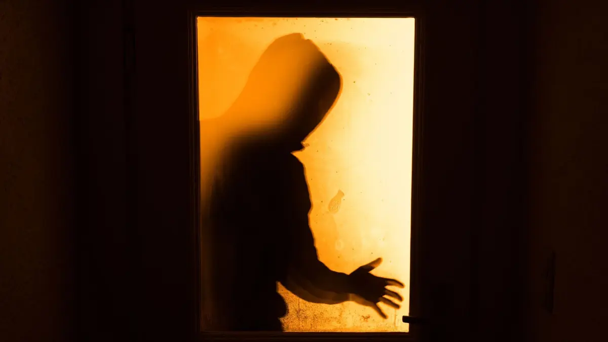 ARCHIV - 19.01.2016, Bayern, Aufseß: Der Schatten eines Mannes ist hinter einer gläsernen Wohnungstür zu sehen. (zu dpa: «Mehr als 100.000 Euro Schaden bei Einbruch») Foto: Nicolas Armer/dpa +++ dpa-Bildfunk +++