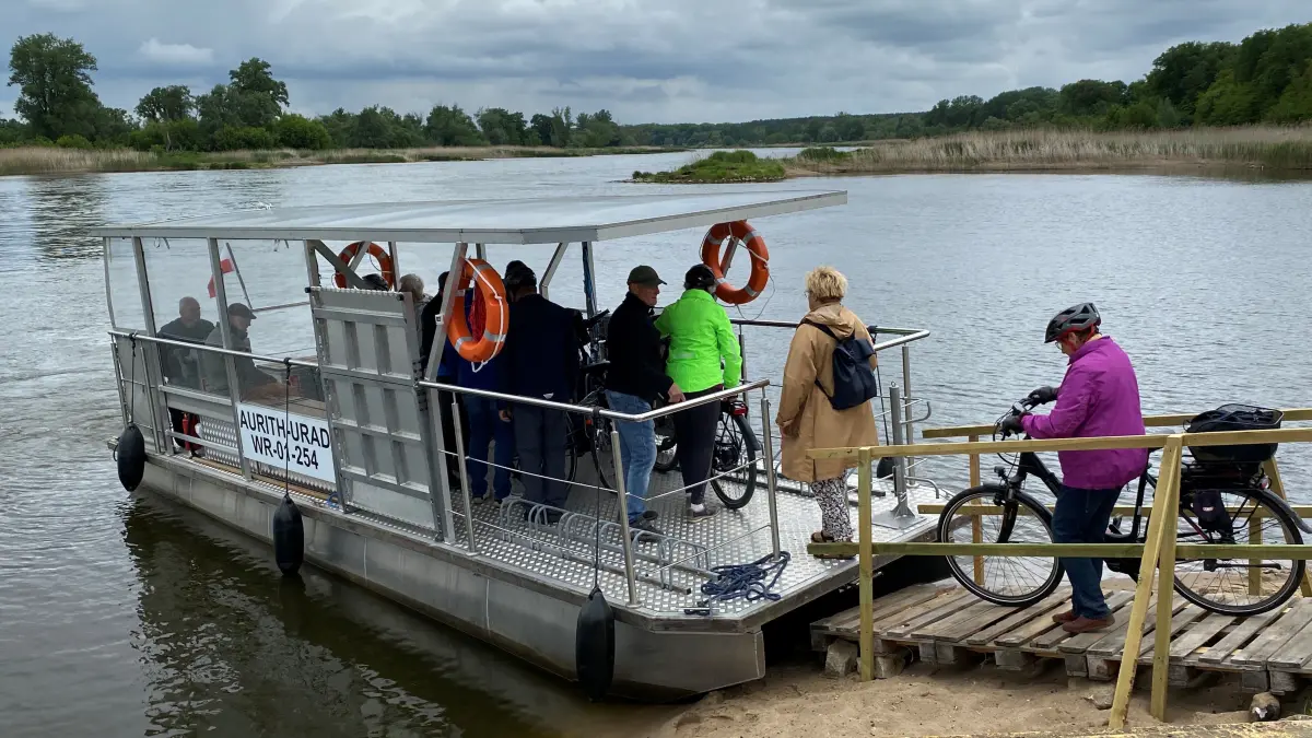Gehört zu den wichtigsten Projekten des RGV Schlaube Oderland: die grenzüberschreitende Fähre zwischen dem deutschen Aurith und dem polnischen Urad