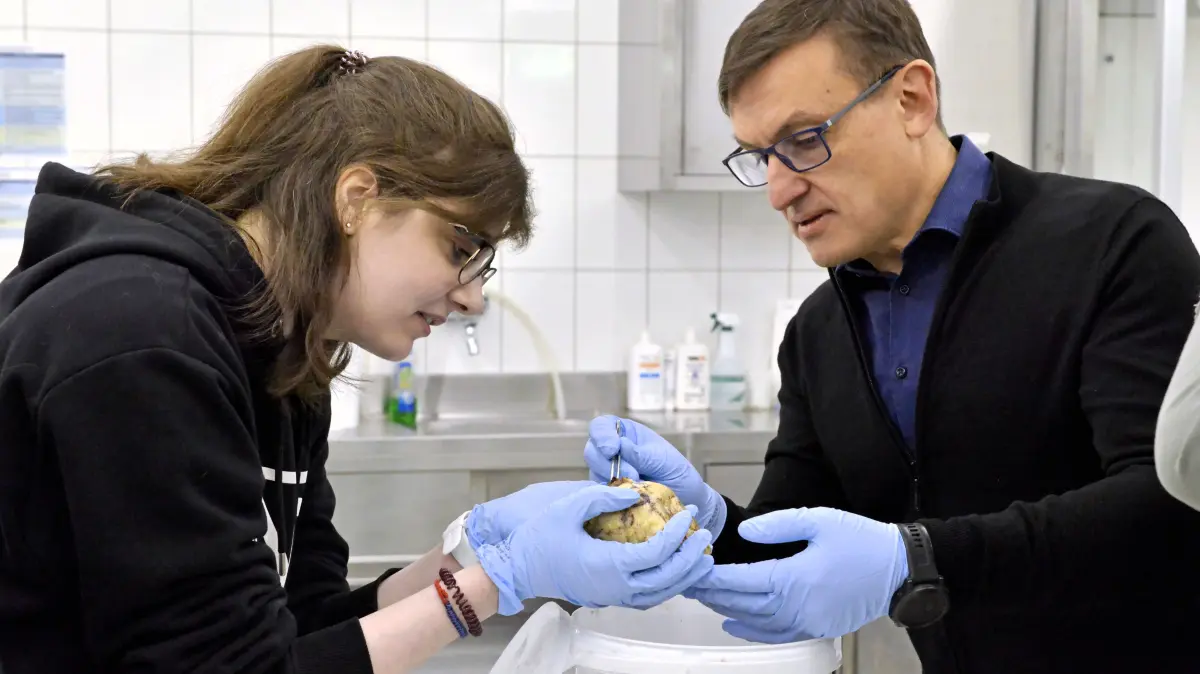 Rückblick in den August 2025: Der Eimer mit Martinas Herz wird iPAlstianrium in Guben geöffnet. Zum ersten Mal sieht sie ihr entnommenes Herz und nimmt es sogar selbst in die Hände. Dr. Vladimir Chereminskiy (rechts) erklärt ihr dabei die anatomischen Strukturen direkt am Organ. Dass ihr Herz den Weg an die Neiße gefunden hat, hat einen ganz bestimmten Grund.