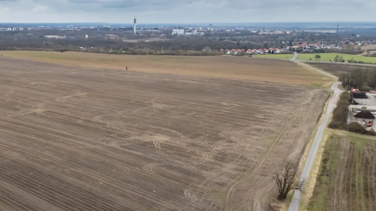 Acker an der Straße Küstriner Berge südlich von Güldendorf bei Frankfurt (Oder)