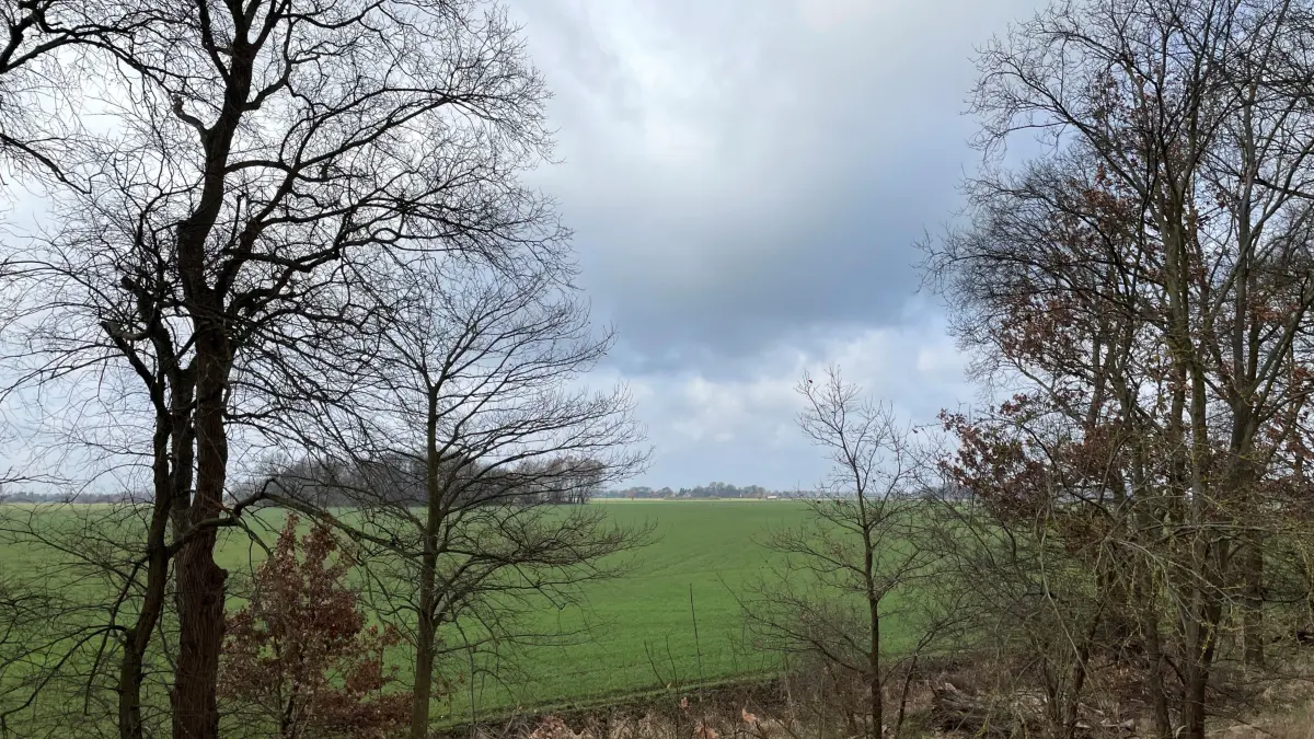 Blick vom Schlafdeich auf das Plangebiet: Der Zechiner Landwirt Bernard Alberts will dort künftig neben der Landwirtschaft auch PV-Anlagen betreiben.