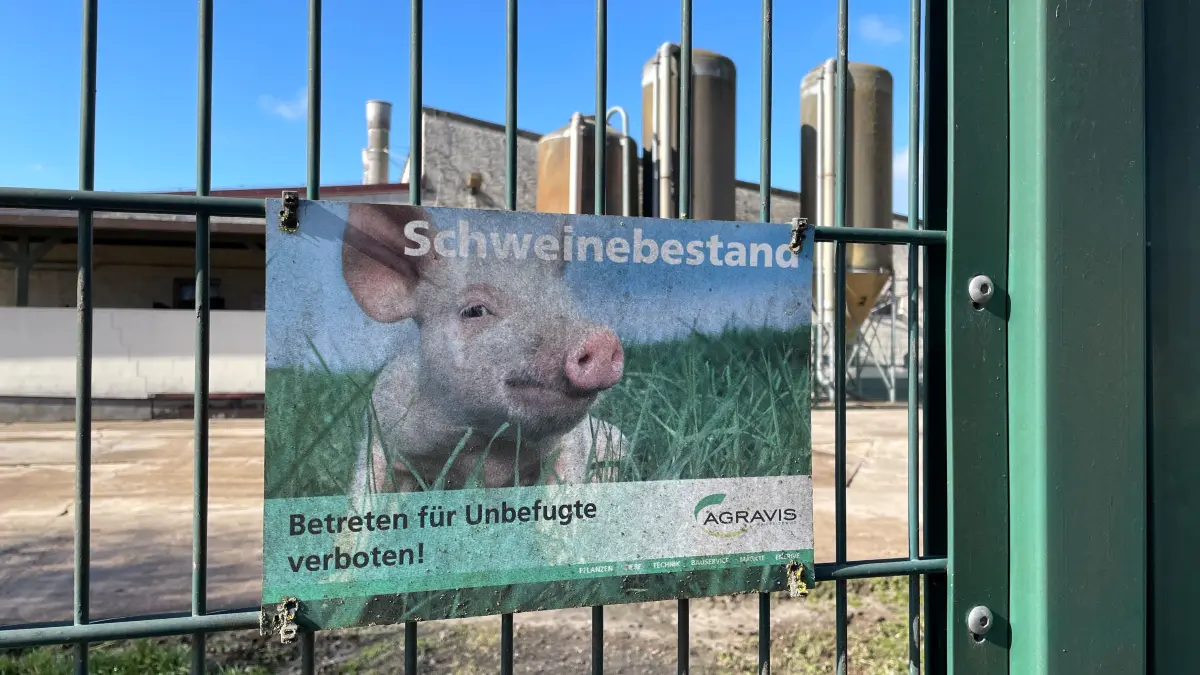 An der alten Abferkelanlage in Sachsendorf bei Seelow: Gleich dahinter befindet sich die große Baustelle für 55000 Quadratmeter großen Neubau.