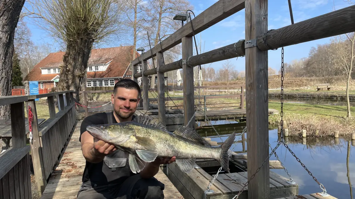 Sander Fuhrmann, Fischer des Naturgutes Köllnitz, zeigt einen Zander aus dem Groß Schauener See .