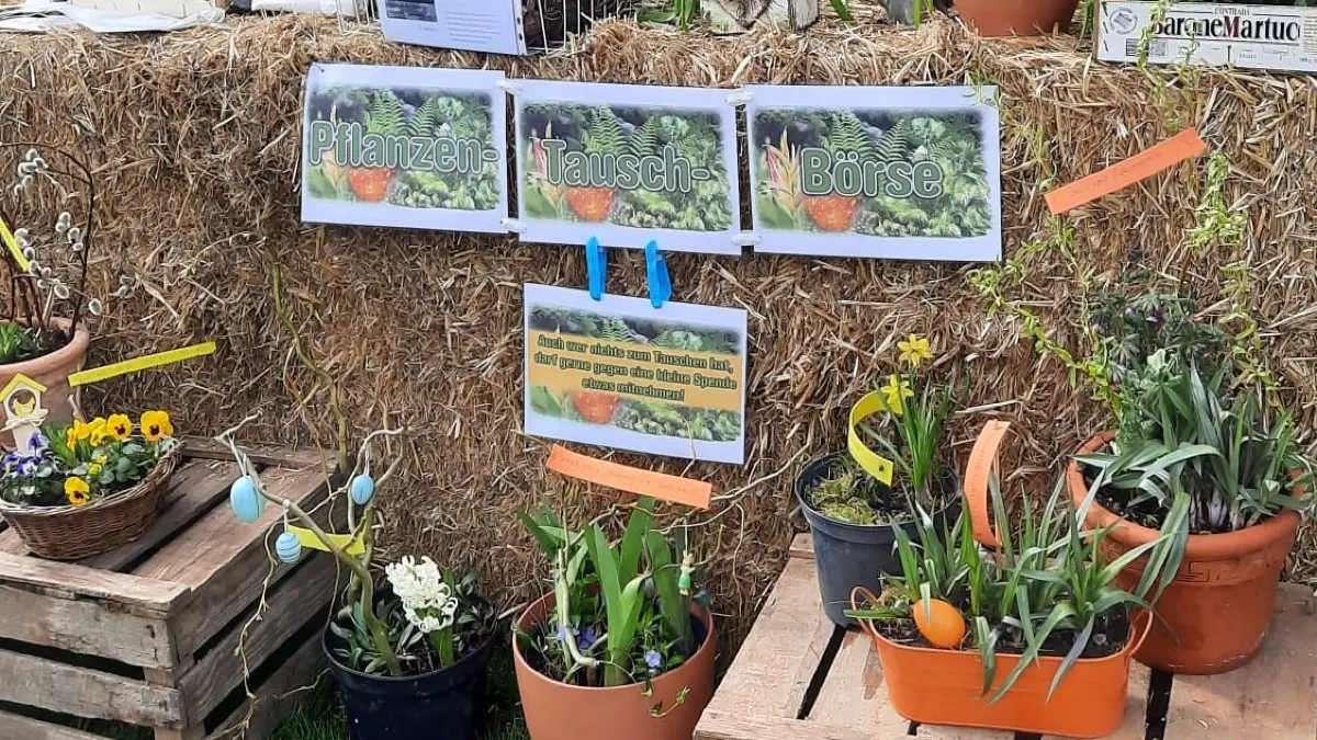 Frühling ist Gartenzeit: Pflanzenliebhaber können auf den Ostermärkten in Podelzig und am Ökowspeicher Wulkow fündig werden.
