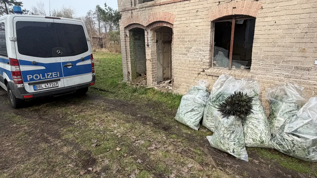 Drogenrazzia bei Seelow: Die Polizei hat in Zechin säckeweise Cannabispflanzen sichergestellt.