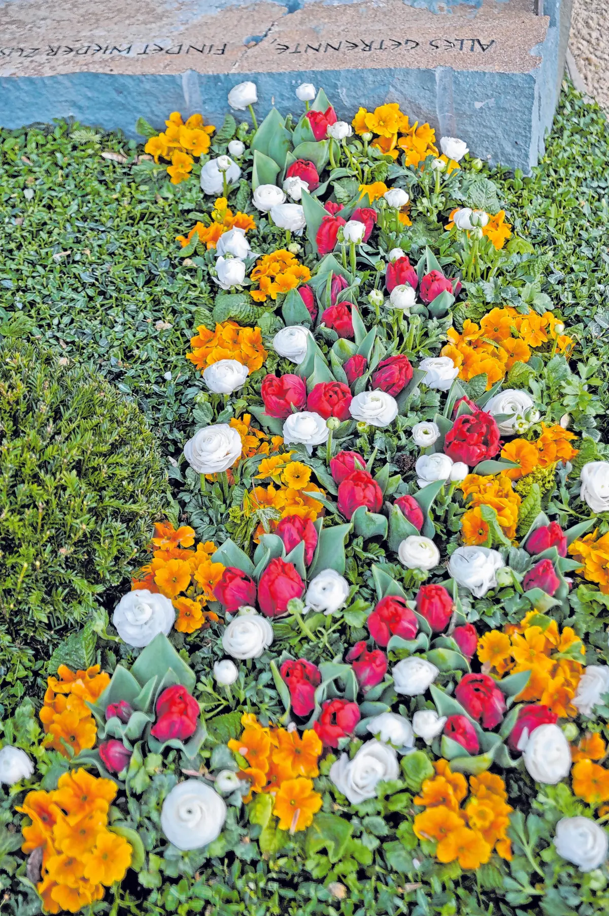Liebevoll angeordnet sind diese unterschiedlichen Blumen. ⇥ Foto: archiv