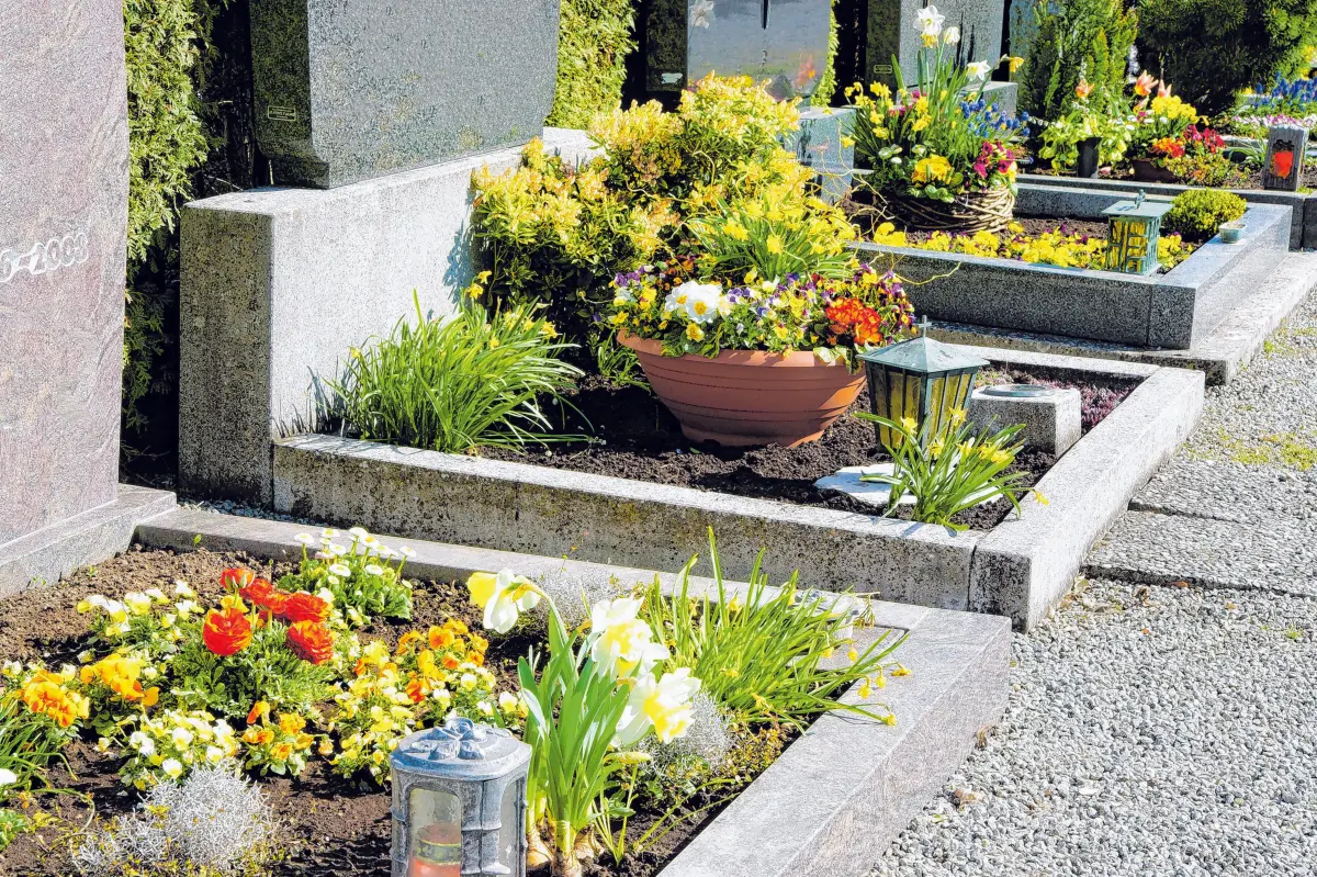 Frische Farben lösen tristes Grau auf den Gräbern ab. ⇥Foto: Johanna Mühlbauer/ adobe stock