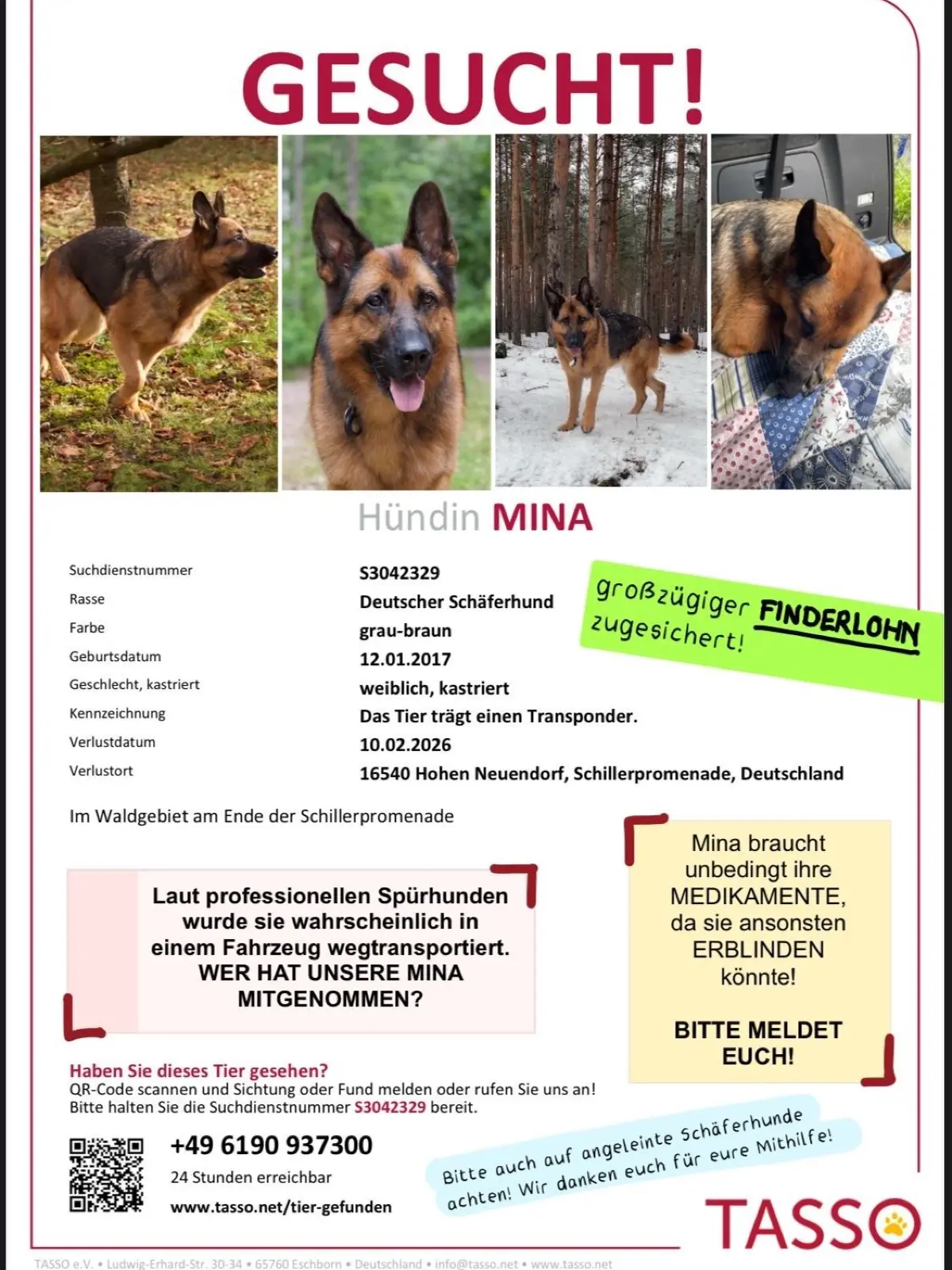 Am 10. Februar verschwand Schäferhund Mina bei einem Spaziergang in einem Waldstück. Seither sucht die Besitzerin mit vielfältigen Aktionen nach dem Tier.