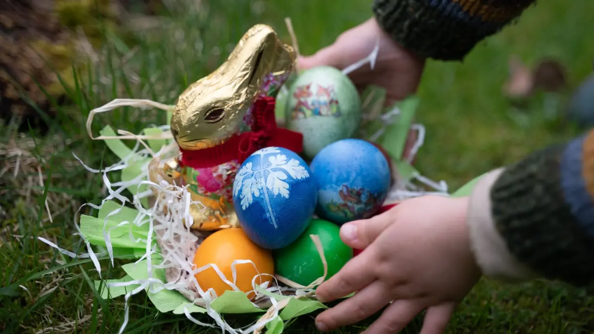Ostern: SYMBOLBILD - 01.04.2024, Sachsen, Chemnitz: Ein kleiner Junge greift zu einem Osternest mit gefärbten Ostereiern und einem Schokohasen. (zu dpa: «Gibt es genügend Ostereier für alle?») Foto: Hendrik Schmidt/dpa +++ dpa-Bildfunk +++