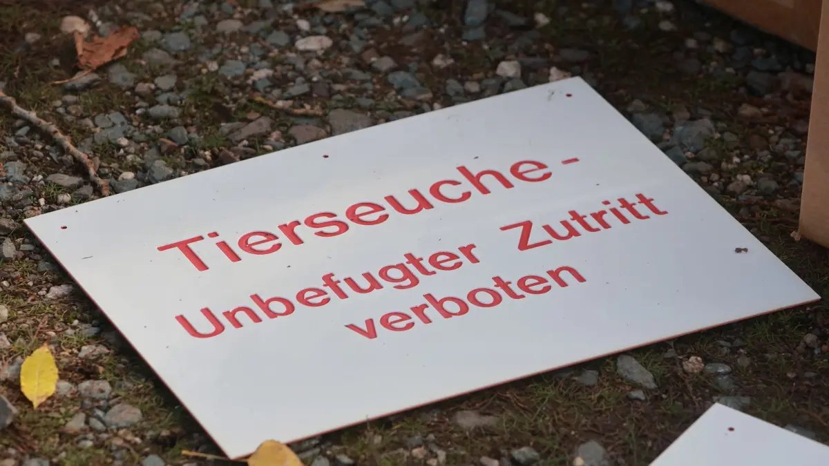 Weitere Fälle von Newcastle-Erkrankung in Brandenburg: ARCHIV - 19.10.2025, Thüringen, Kelbra: "Tierseuche - Unbefugter Zutritt verboten" steht auf einem Hinweisschild am Stausee Kelbra. (zu dpa: «Newcastle-Krankheit: Weitere 200.000 Vögel werden getötet») Foto: Matthias Bein/dpa +++ dpa-Bildfunk +++
