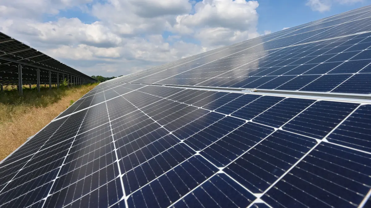 Ein Solarpark im Oderbruch. Die Solarbranche in Deutschland sieht wegen Plänen der Bundesregierung Investitionen in Milliardenhöhe gefährdet. (zu dpa: «Solarbranche sieht Investitionen in Milliardenhöhe gefährdet») +++ dpa-Bildfunk +++
