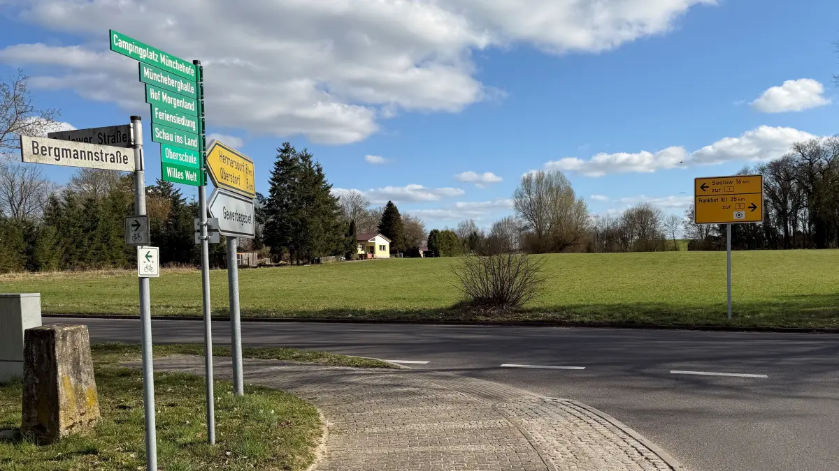 Auf der Wiese an der Einmündung der Bergmannstraße auf die Seelower Straße in Müncheberg sollen Einfamilienhäuser errichtet werden. Dazu muss auch eine neue Straße gebaut werden.