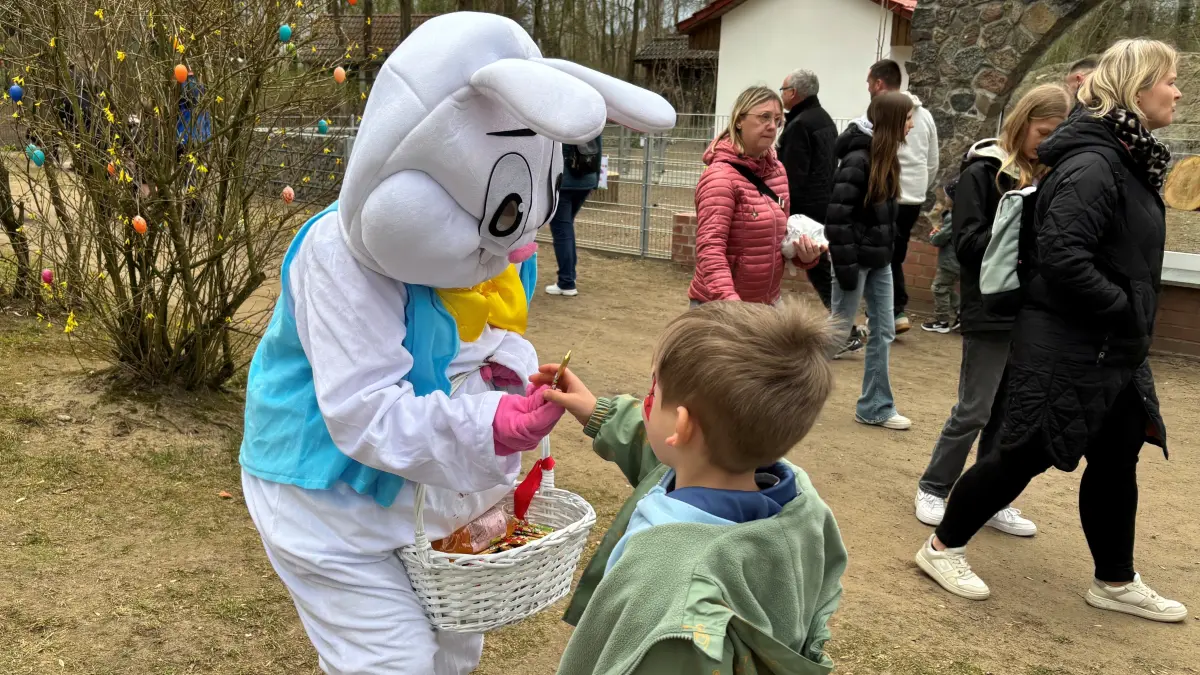 Die Osterfete im Tierpark ist jedes Jahr vor allem bei Kindern ein Highlight am Ostersonntag. Im weitläufigen Parkgelände gibt es zahlreiche Attraktionen und Angebote. Natürlich ist auch der Osterhase mit süßen Leckereien unterwegs.
