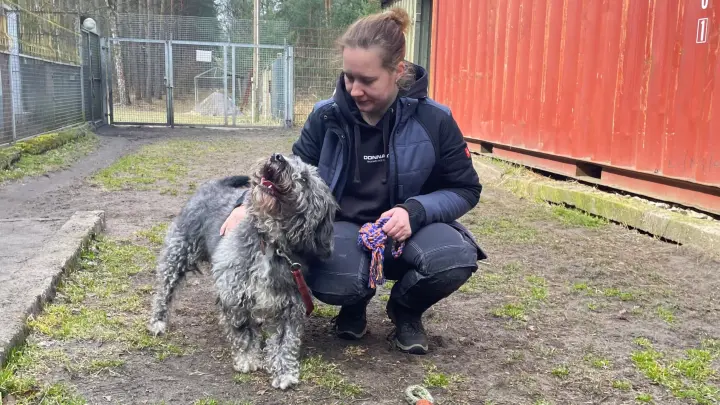 Darum ist der plüschige Hund Benni nichts für Anfänger