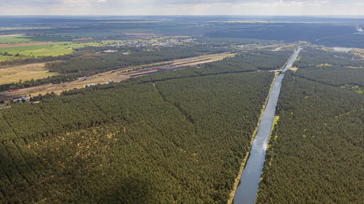 Noch steht auf der Fläche zwischen Oder-Spree-Kanal und dem Werkbahnhof von ArcelorMittal Eisenhüttenstadt Wald. Doch das Areal könnte Standort für eine Industrieansiedlung werden.