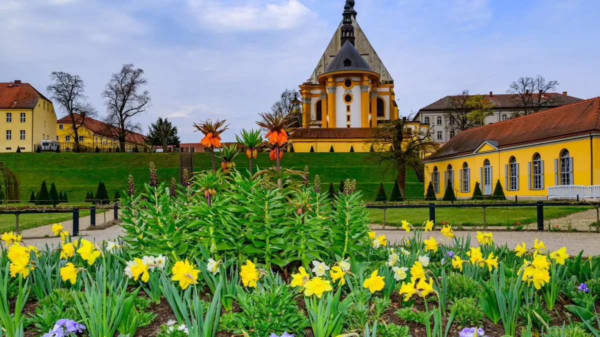 Frühling im Klostergarten: 14.04.2026, Brandenburg, Neuzelle: Frühjahrsblüher sind in einem Beet im Klostergarten der Stiftung Stift Neuzelle vor der Katholischen Kirche vom Kloster Neuzelle zu sehen. Das Kloster Neuzelle, rund zehn Kilometer südlich von Eisenhüttenstadt, ist das einzige vollständig und einschließlich der Außenanlagen erhaltene Zisterzienserkloster Brandenburgs und eine der wenigen unzerstörten Klosteranlagen in Deutschland und Europa. Foto: Patrick Pleul/dpa - Honorarfrei nur für Bezieher des Dienstes ZB-Funkregio Ost +++ ZB-FUNKREGIO OST +++