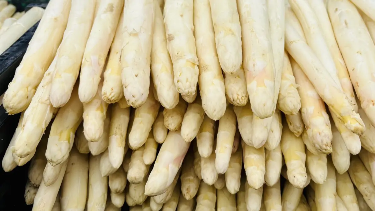 In Polen hat die Spargelsaison begonnen.