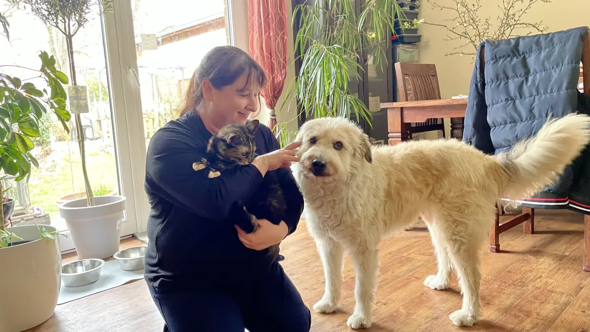Angekommen – bei Karolin Lisiecki und Familie in Friedland (Mark) haben Mischlingshund Joshi und Katze Tasmi ein neues Zuhause gefunden.